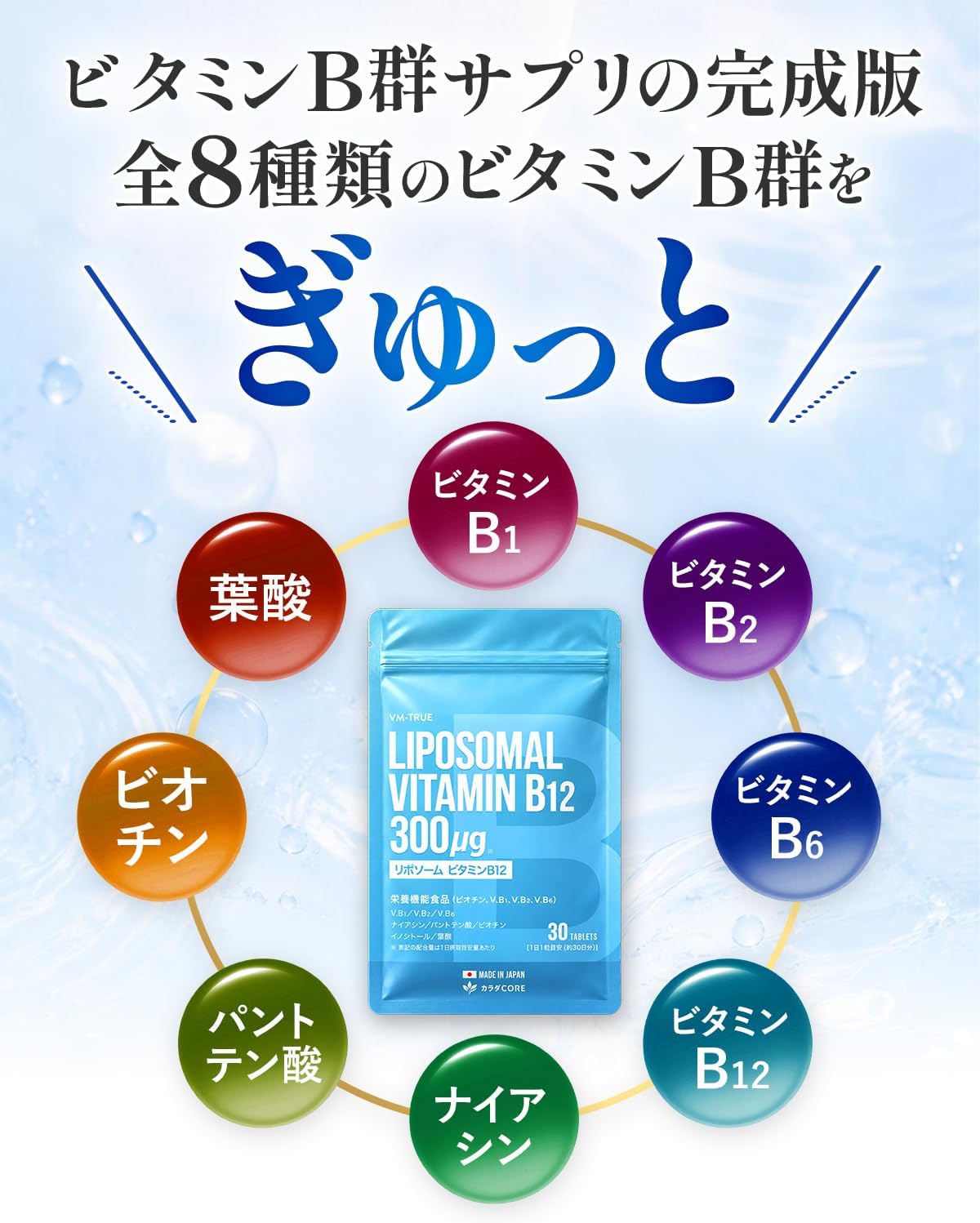 リポソーム ビタミンB12 全8種類のビタミンB群