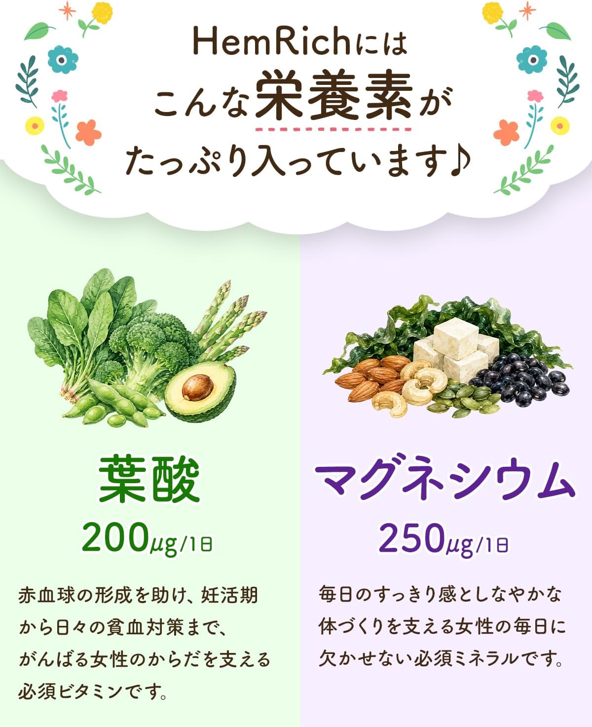 葉酸・マグネシウムの配合紹介
